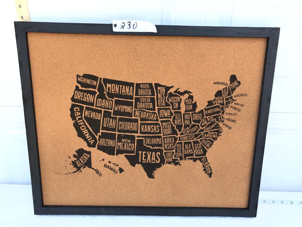 United States Framed Corkboard Picture