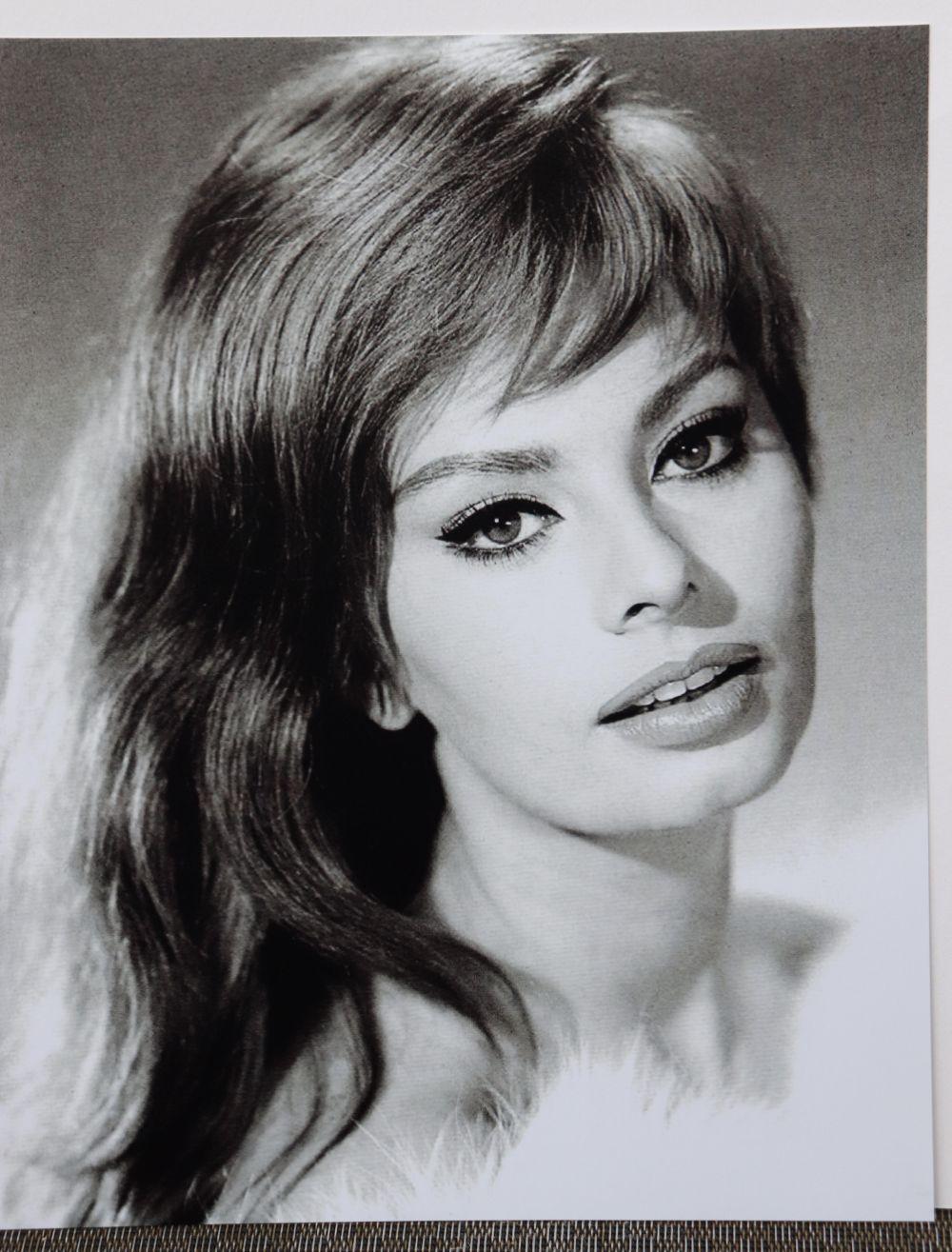 Sophia Loren, Italian actress, black and white 8x10 photo