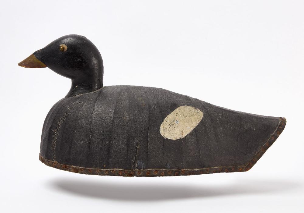 Oversized White-Winged Scoter Decoy