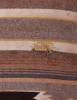 image_1