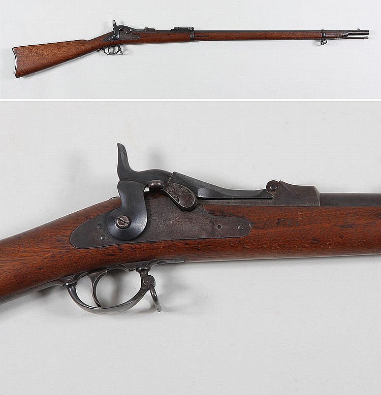 Springfield model 1873 ''Tr... image