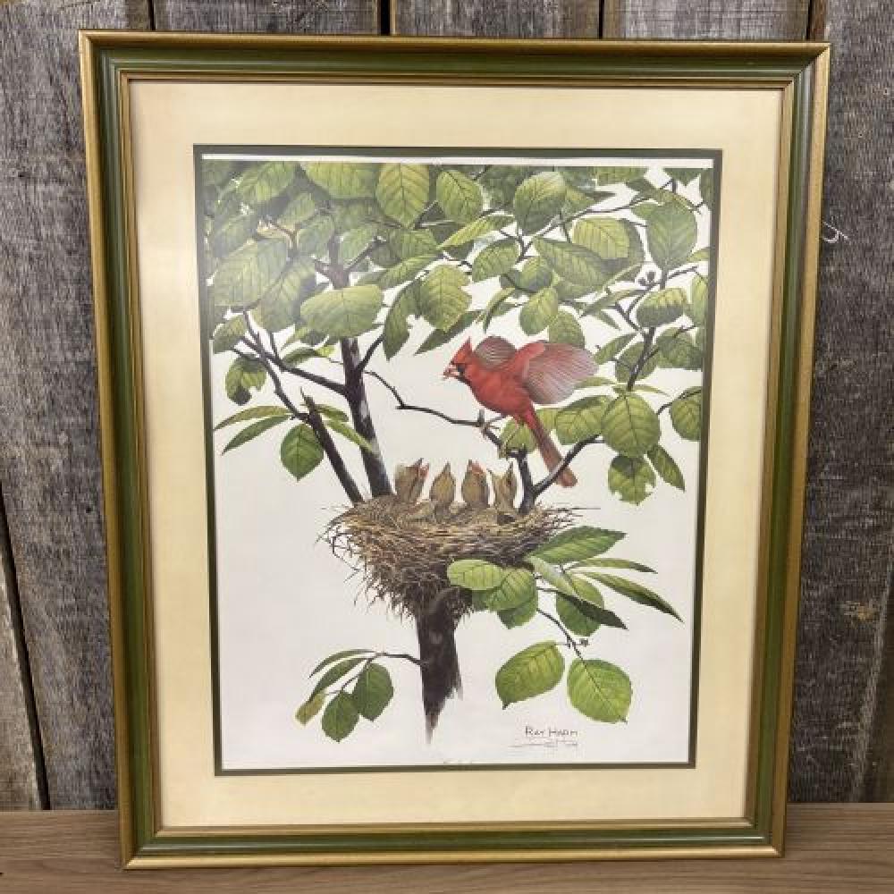 Ray Harm Signed Cardinal Bird Lithographic Print 26"X31"