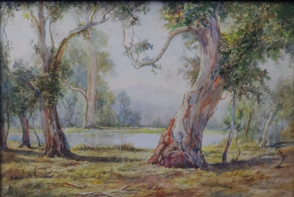 O. BROCK, WATERCOLOUR, AUSTRALIAN BLUE GUMS, SIGNED AND DATED LOWER RIGHT 1951, APPROX. 54CM X 37CM