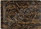 image_18