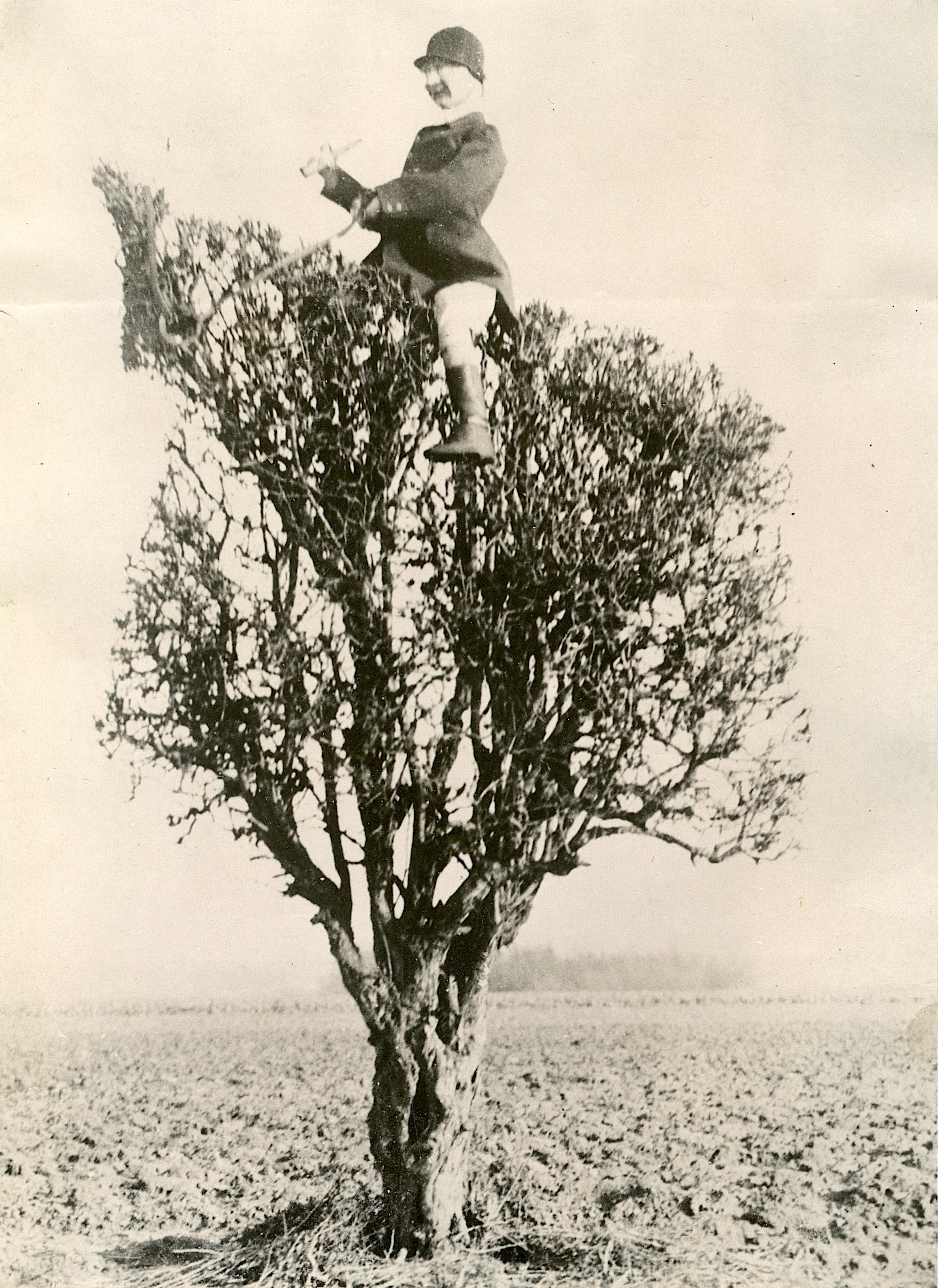 Original Rare Historical Photograph Surrealism Rider