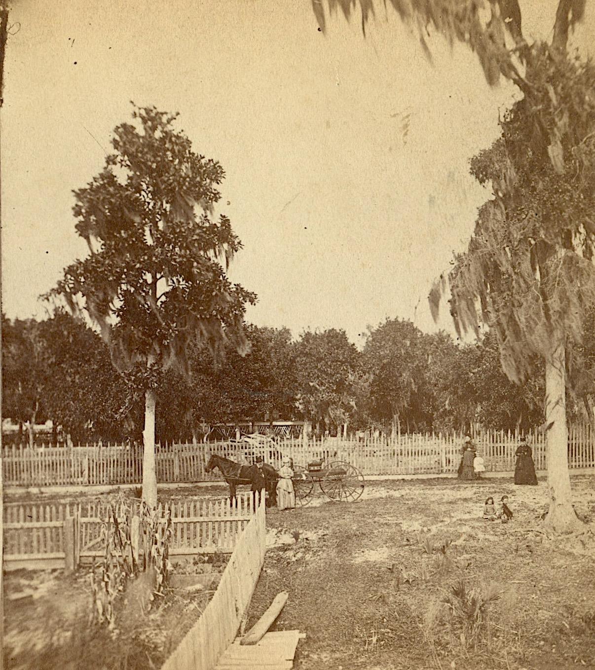 Antique Real Photo Stereoview Florida Palatka