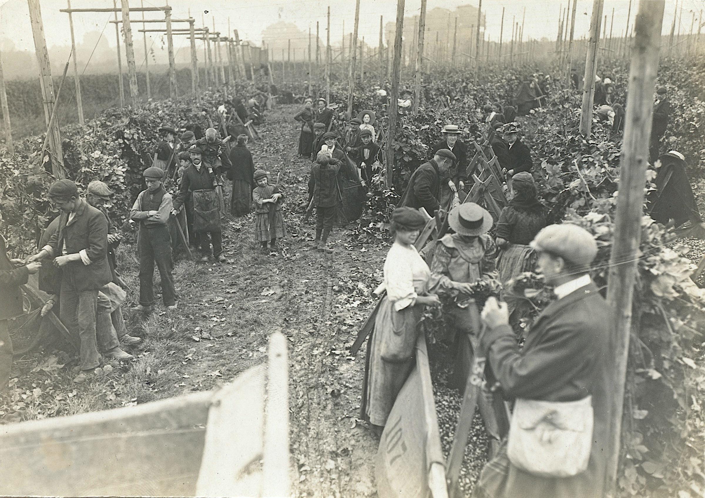 Antique Vintage Historical Photo Farmers Victor Forbin