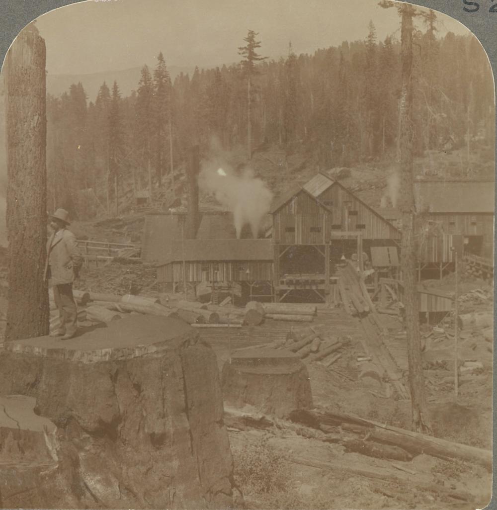 Antique Real Photo Stereovi... image
