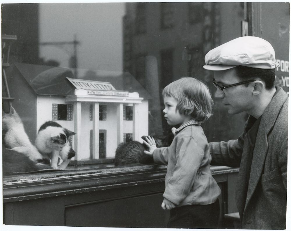 Original Photography by HERB FLATOW Serie Kitty Orphanage
