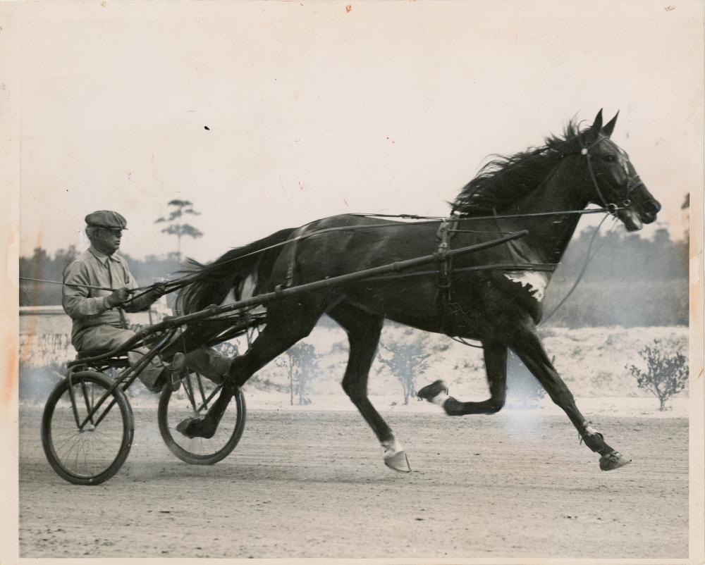 Gelatin Press Photo HARNESS RACING, 1937