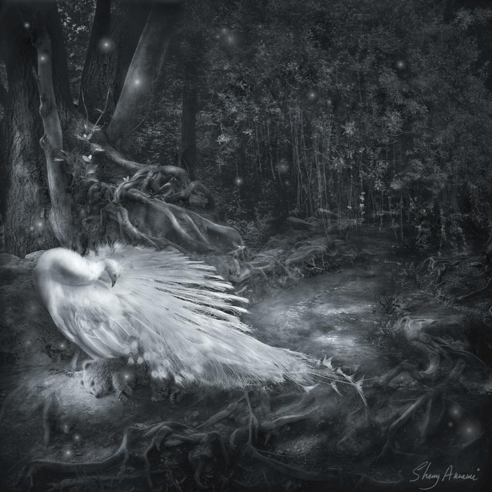 Sherry Akrami (1975) 'Sleeping Beauty' Photograph #4/25