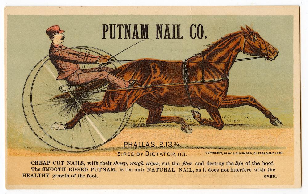 Antique Vintage Scarce Tradecard PUTNAM NAIL Horse