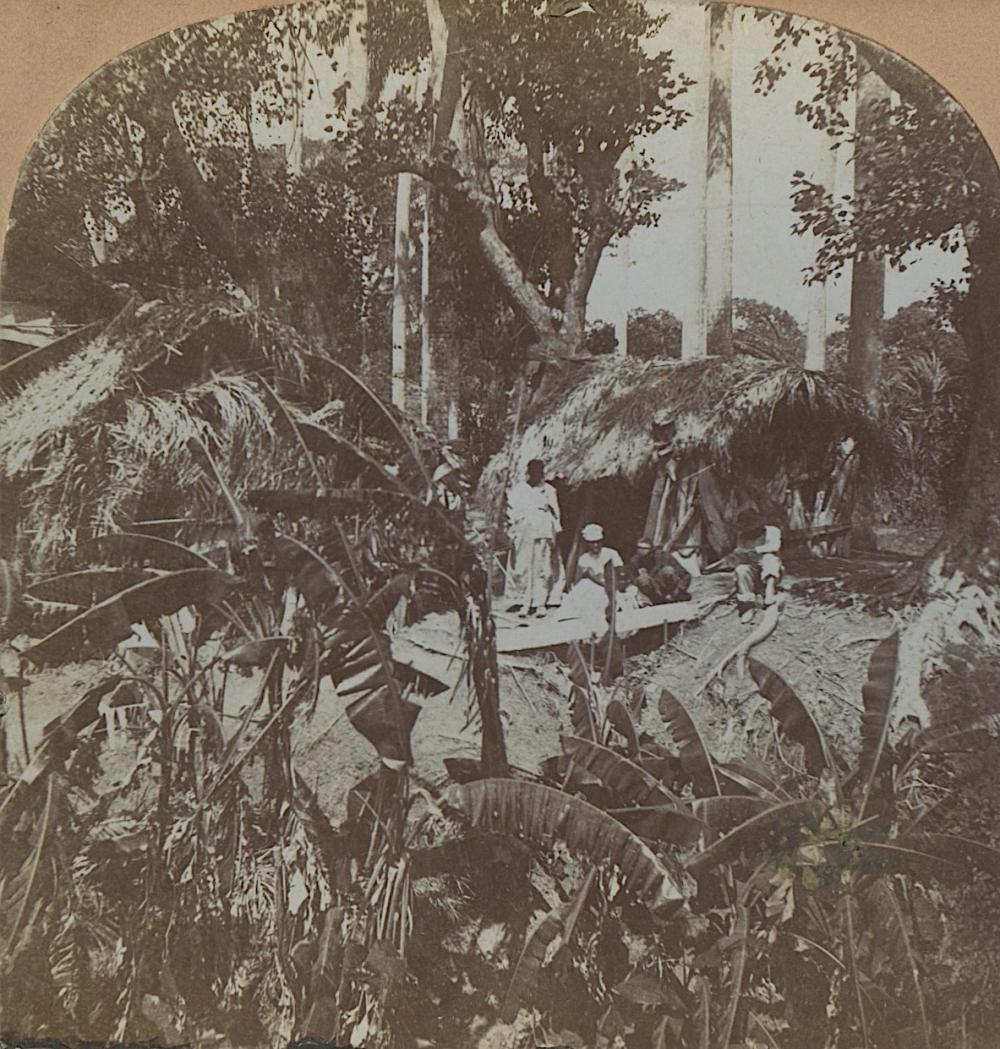 Antique Stereoview Cuba Natives
