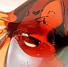 image_1