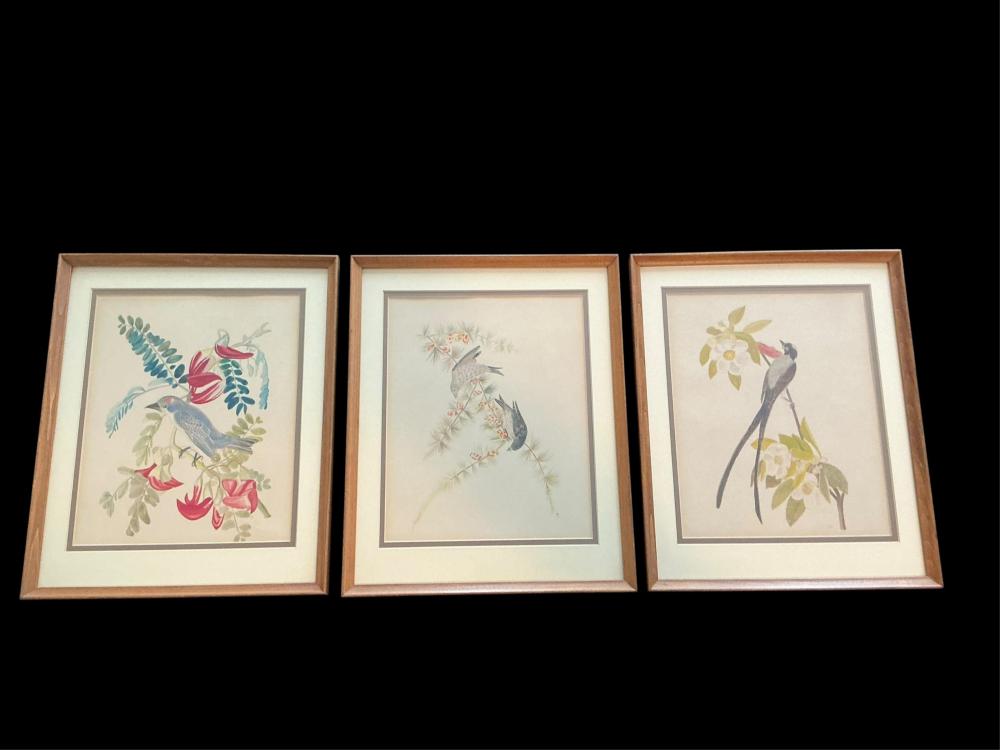 Three John James Audubon Framed Prints