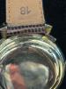 Image_36