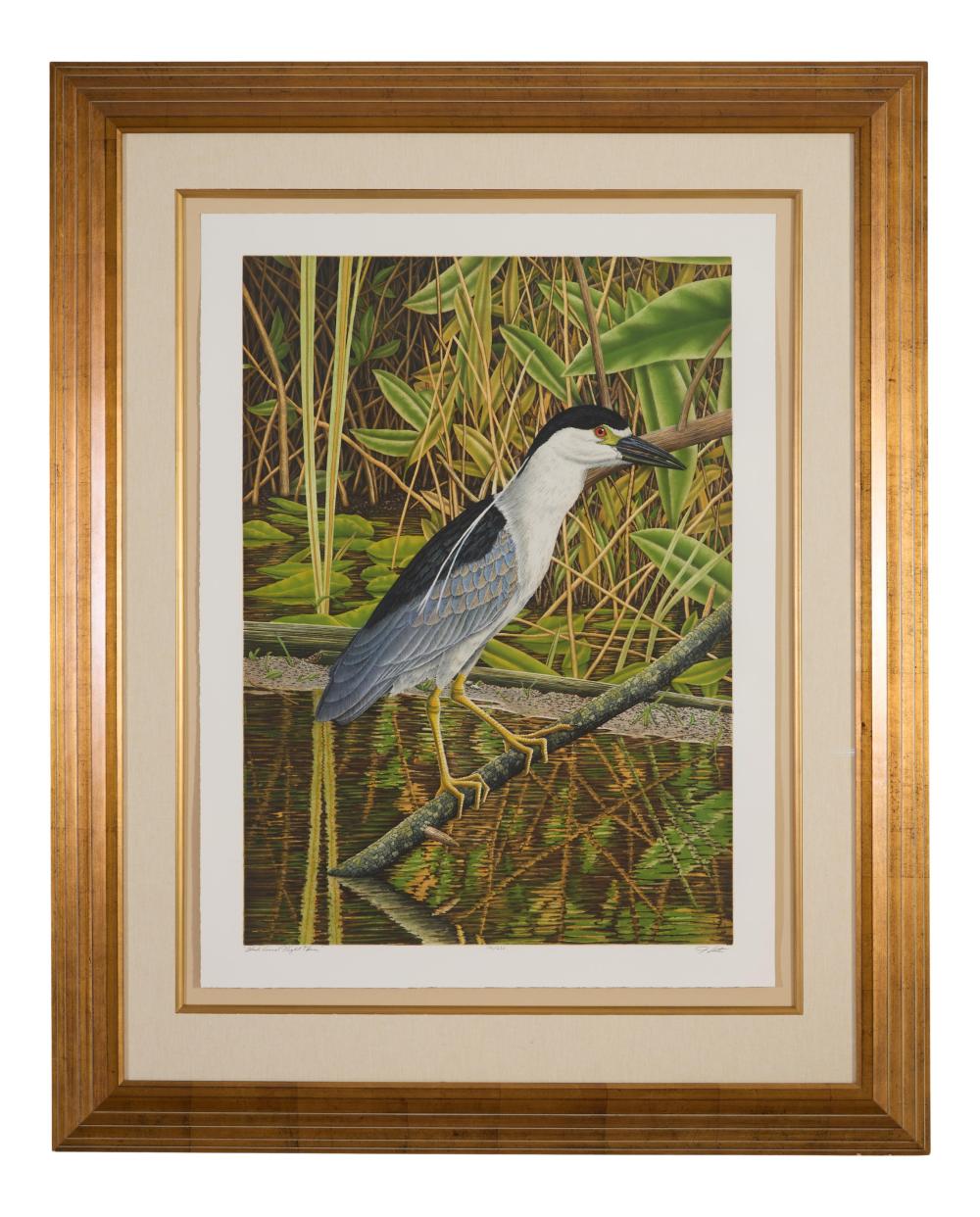 John Costin (American/Florida, b. 1955), "Black Crowned Night Heron," H.- 37 1/2 in., W.- 27 1/2 in., Framed- H.- 53 1/2 in., W.- 43 in.