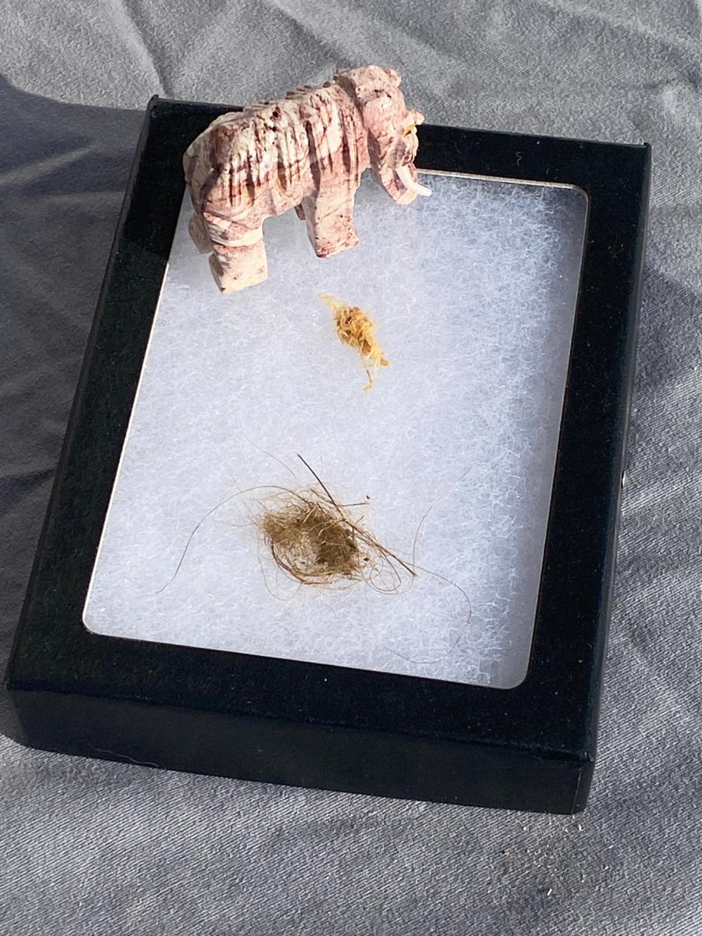 Mammoth, Soapstone, Collectible, Specimen