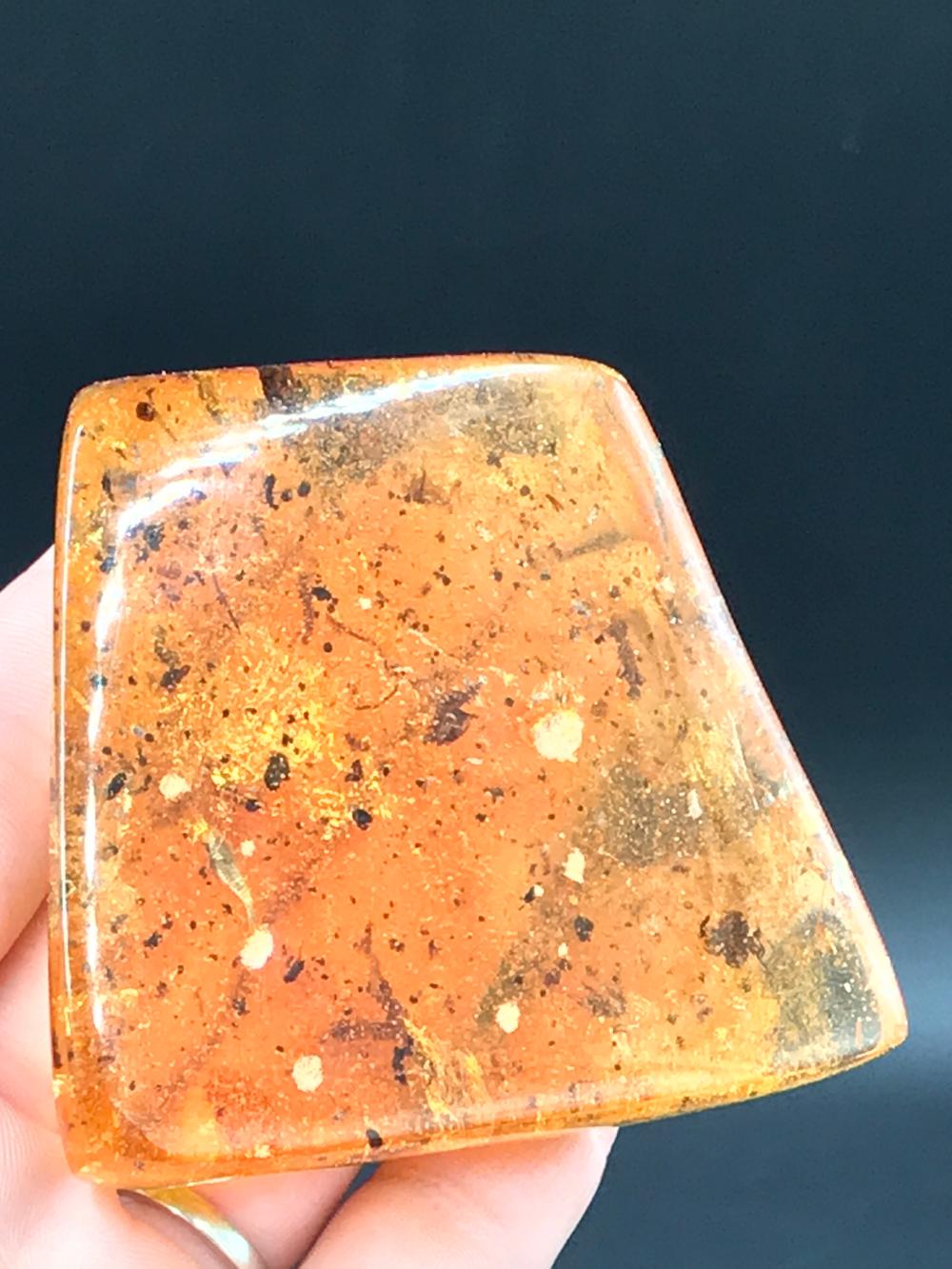 Amber, Fossil, Natural, Collectible, Specimen