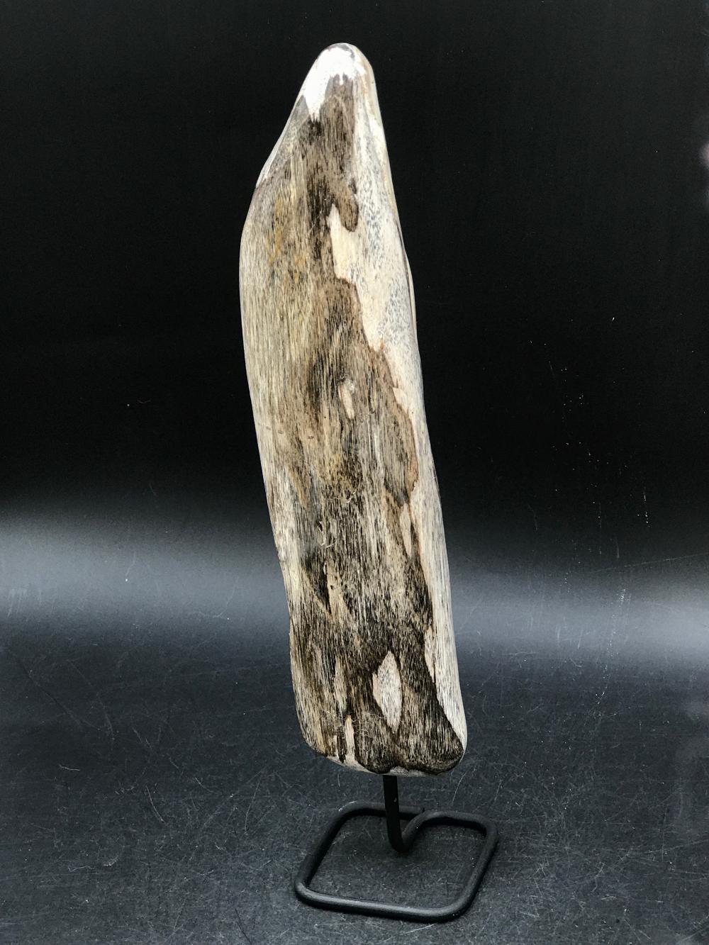 Petrified Wood, Fossil, Rock, Natural, Decor, Collectible, Slab