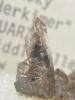 image_1