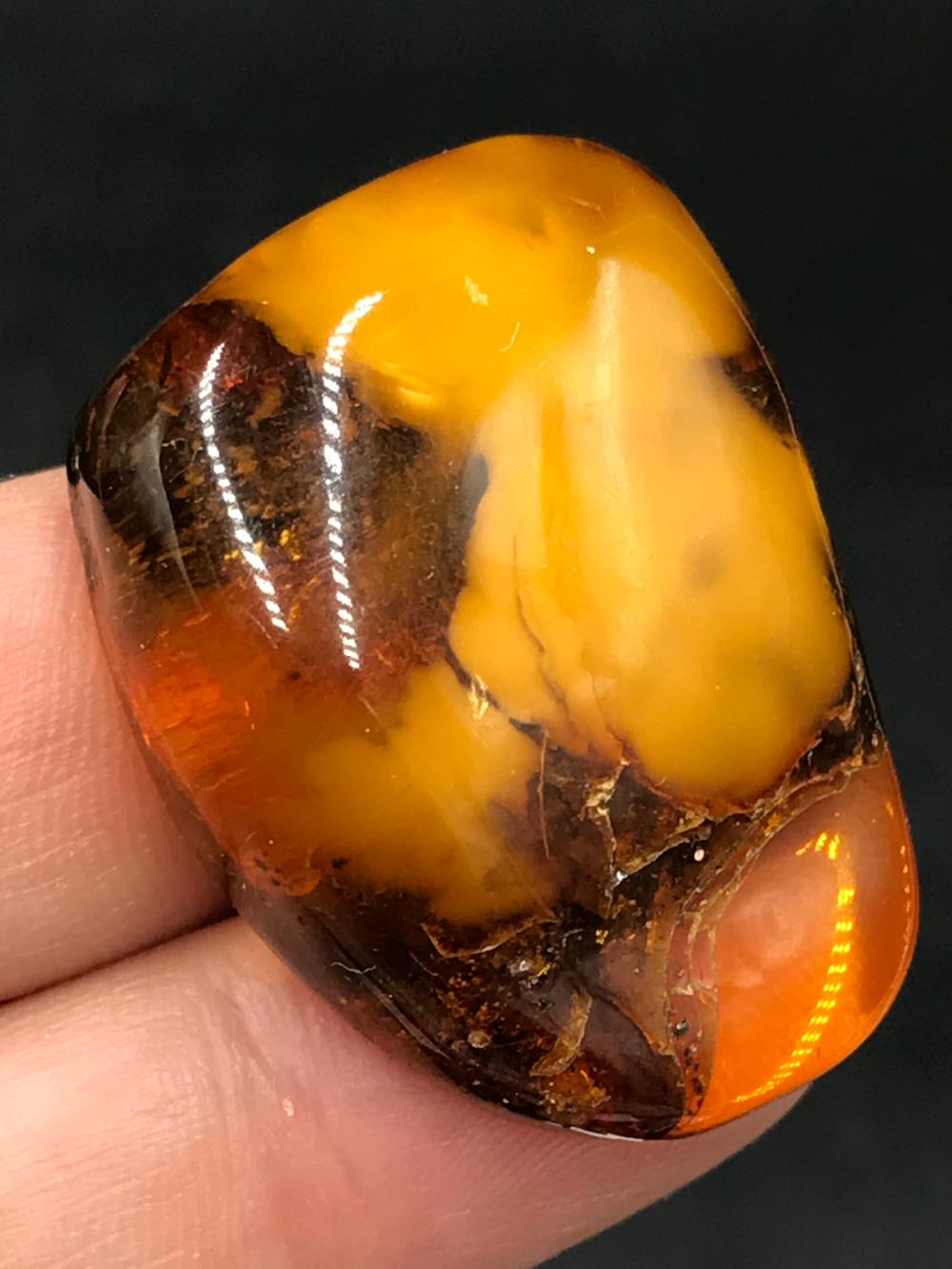 Amber, Fossil, Natural, Collectible, Cabochon, Lapidary
