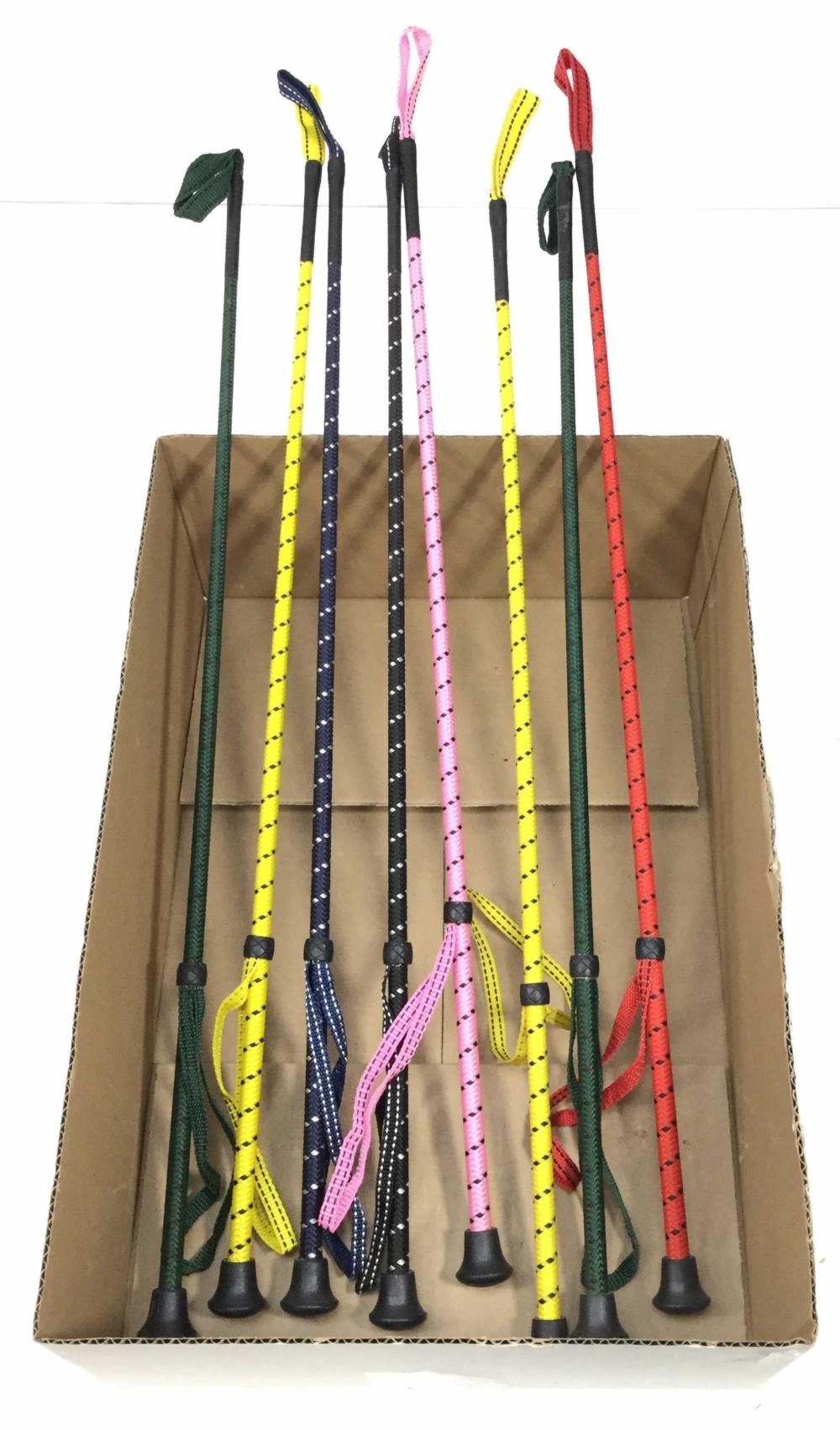 (8) Colored Riding Crops