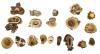 image_1