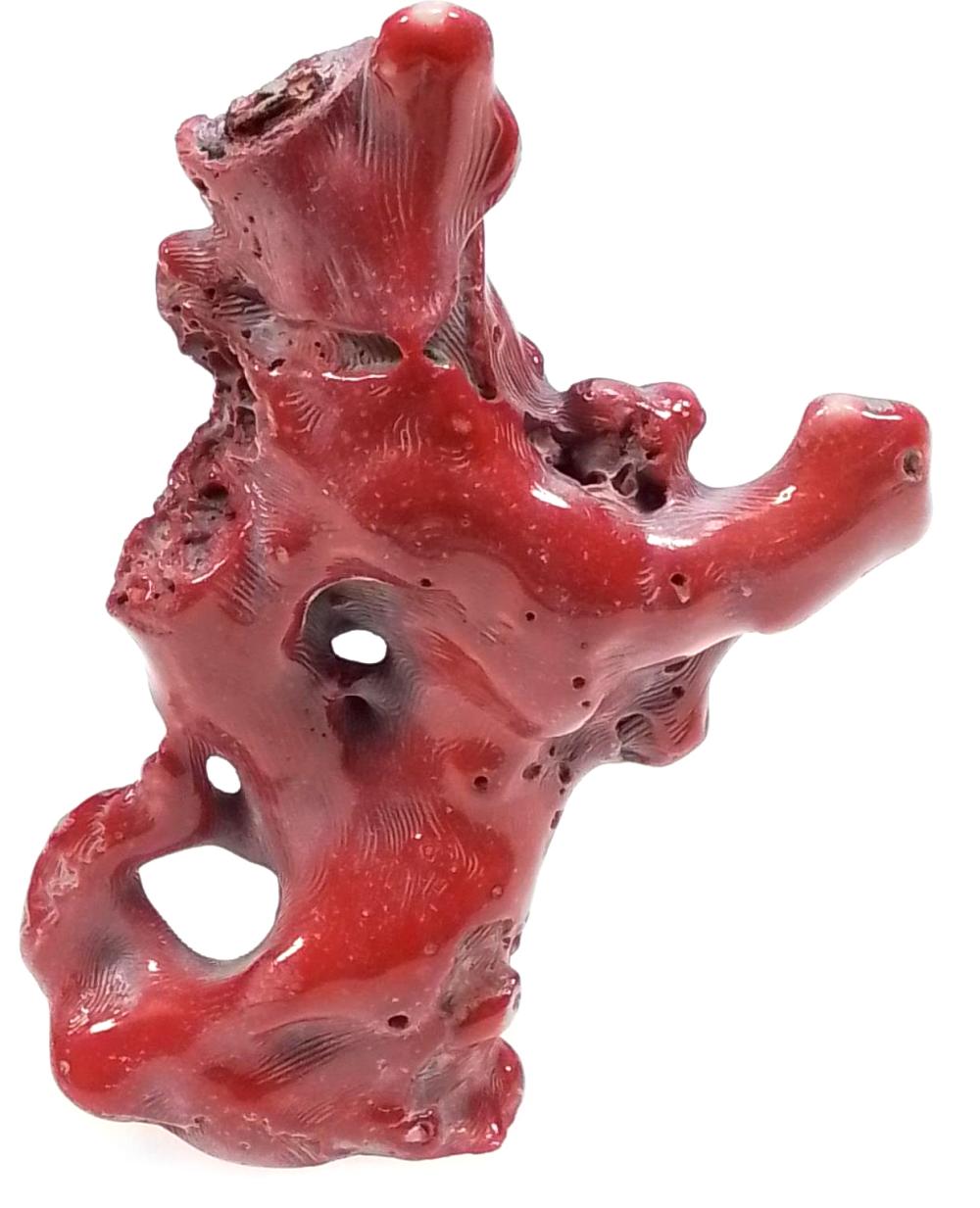 Red Ocean Bamboo Coral Specimen