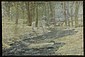 Next image preload