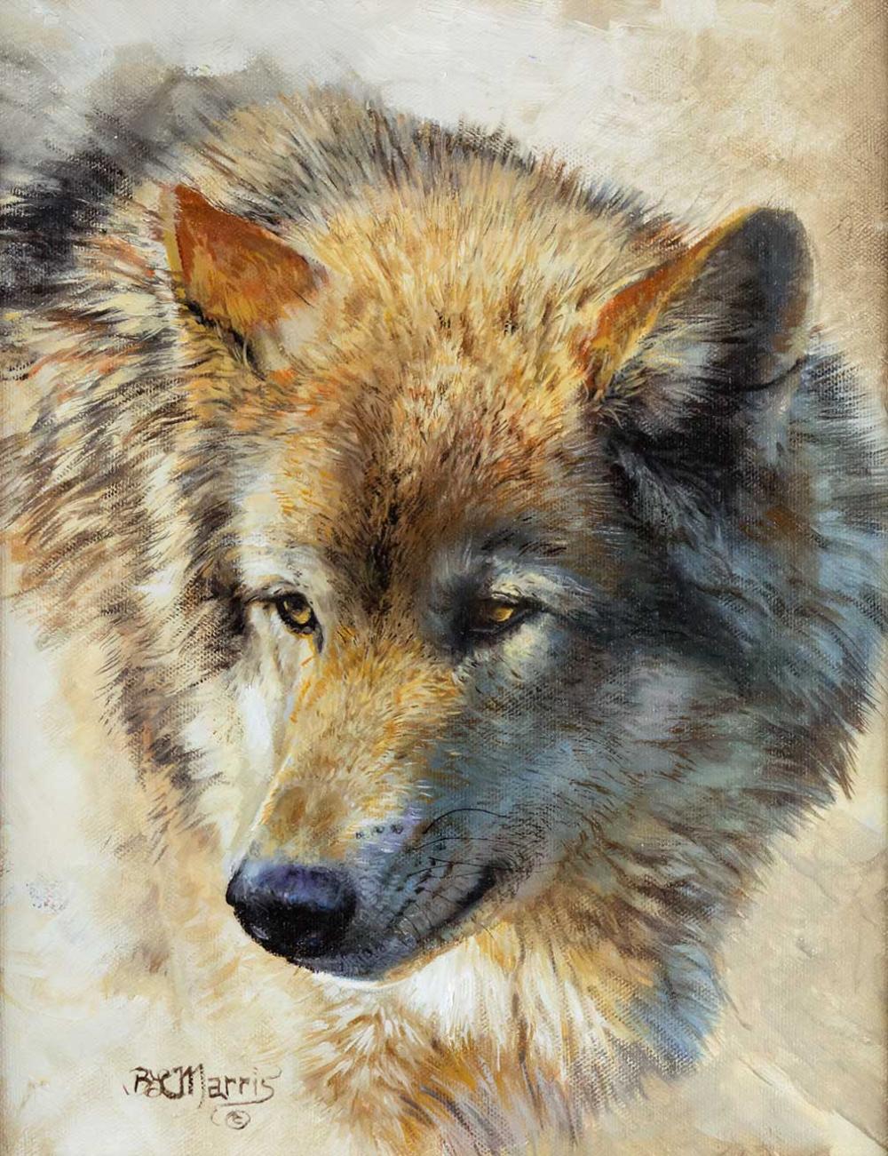 Bonnie Marris (1951- ), Unforgettable