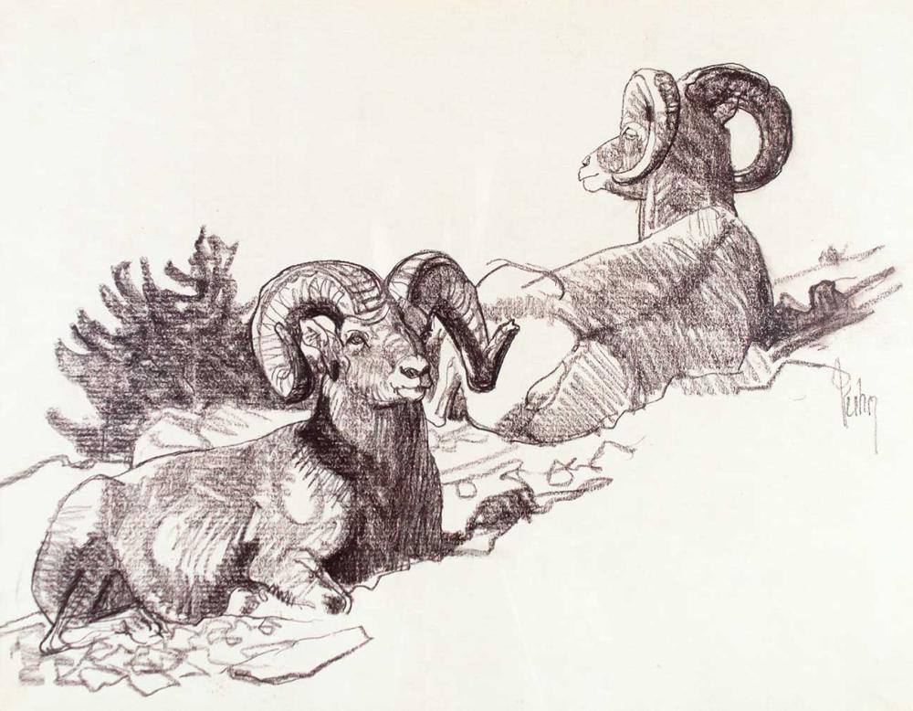 Untitled (Bighorn Sheep) by Bob Kuhn (1920-2007)