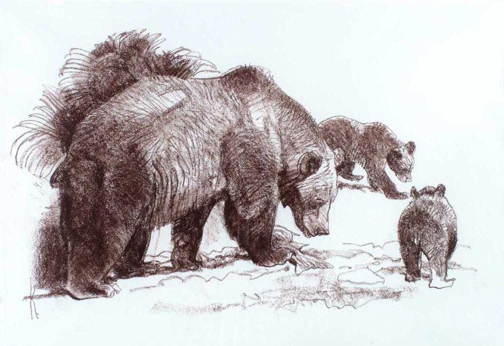 Untitled (Bears) by Bob Kuhn (1920-2007)