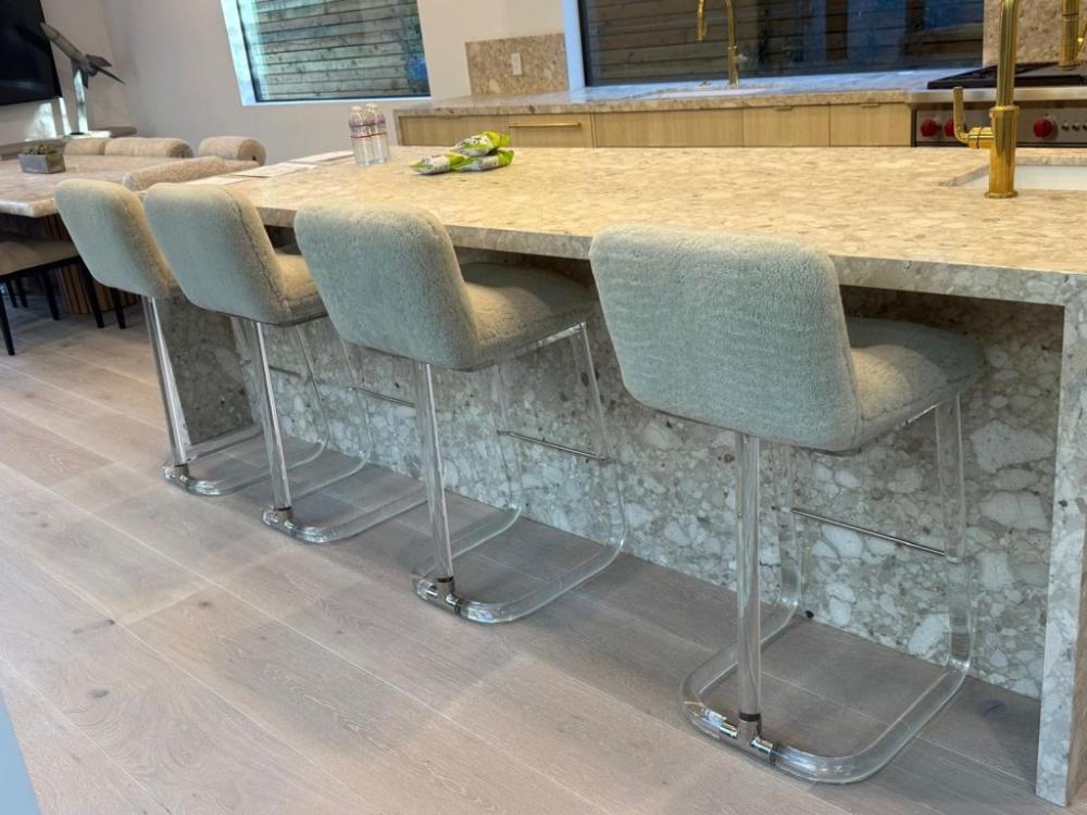 Lion in the frost signed lucite /chrome bar stools
