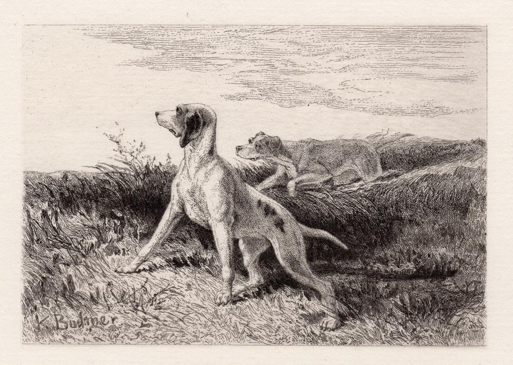 1872 Karl Bodmer Dogs etching signed
