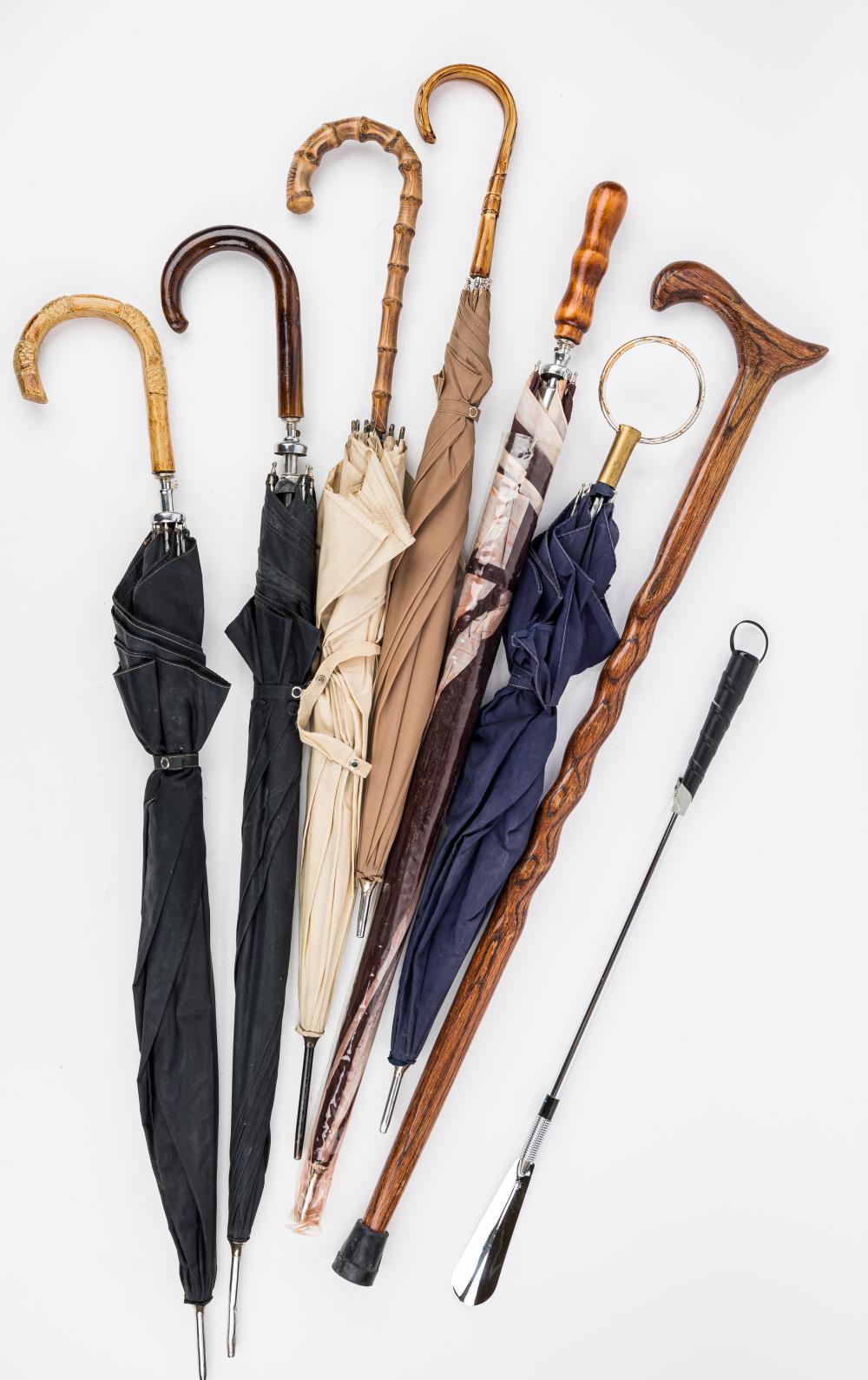 Vintage Umbrellas & Cane image