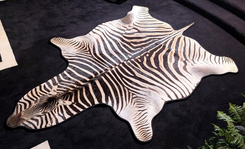 Zebra Rug Mount Taxidermy