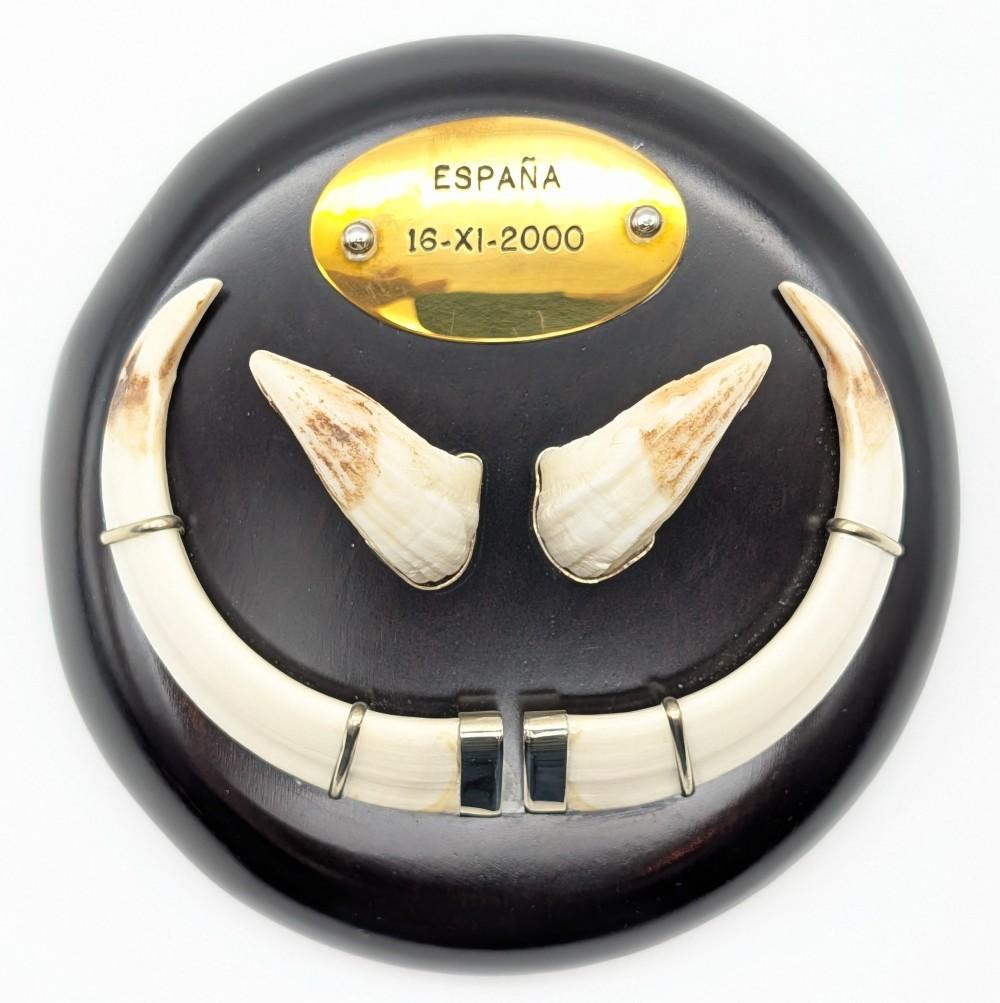 Espana Boar Tusk Display