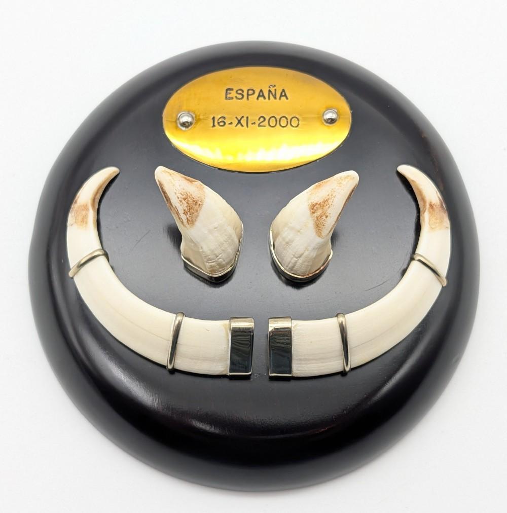 Espana Boar Tusk Display