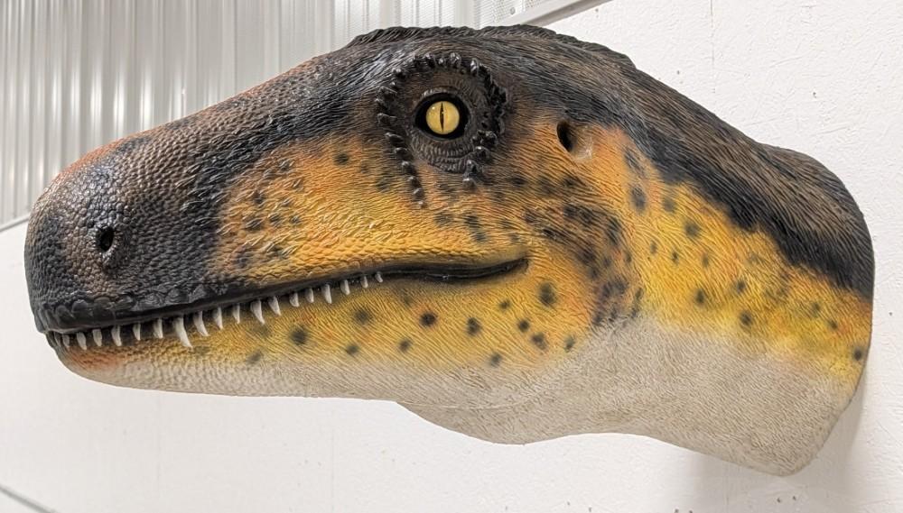Over 3ft Life Size Dinosaur Fiberglass Wall Mount Display Prop