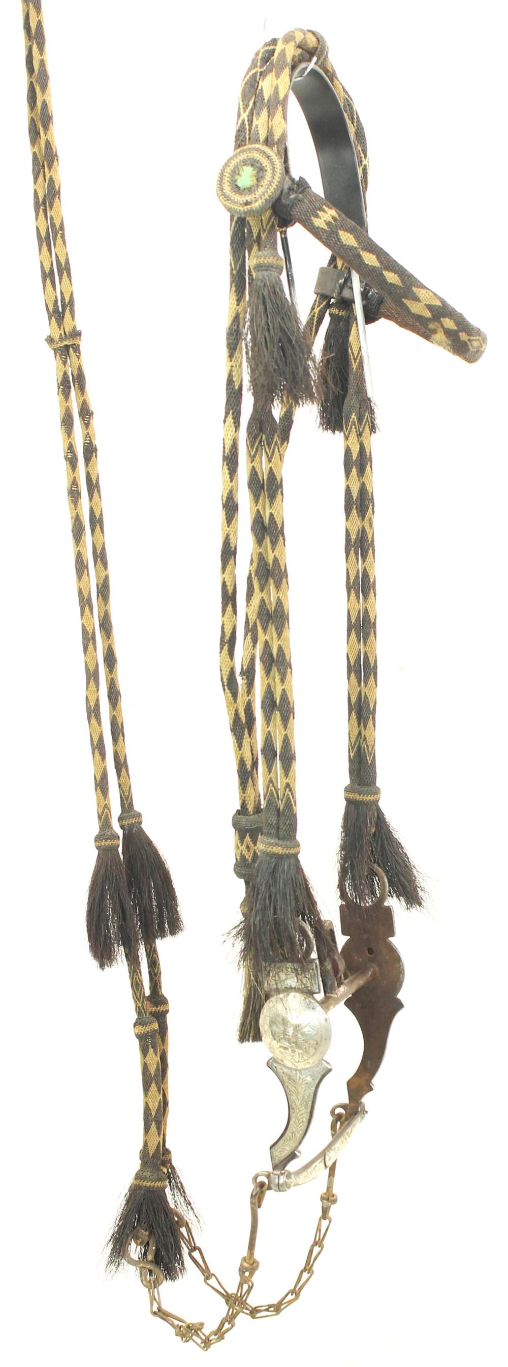 Attractive Horsehair Bridle image