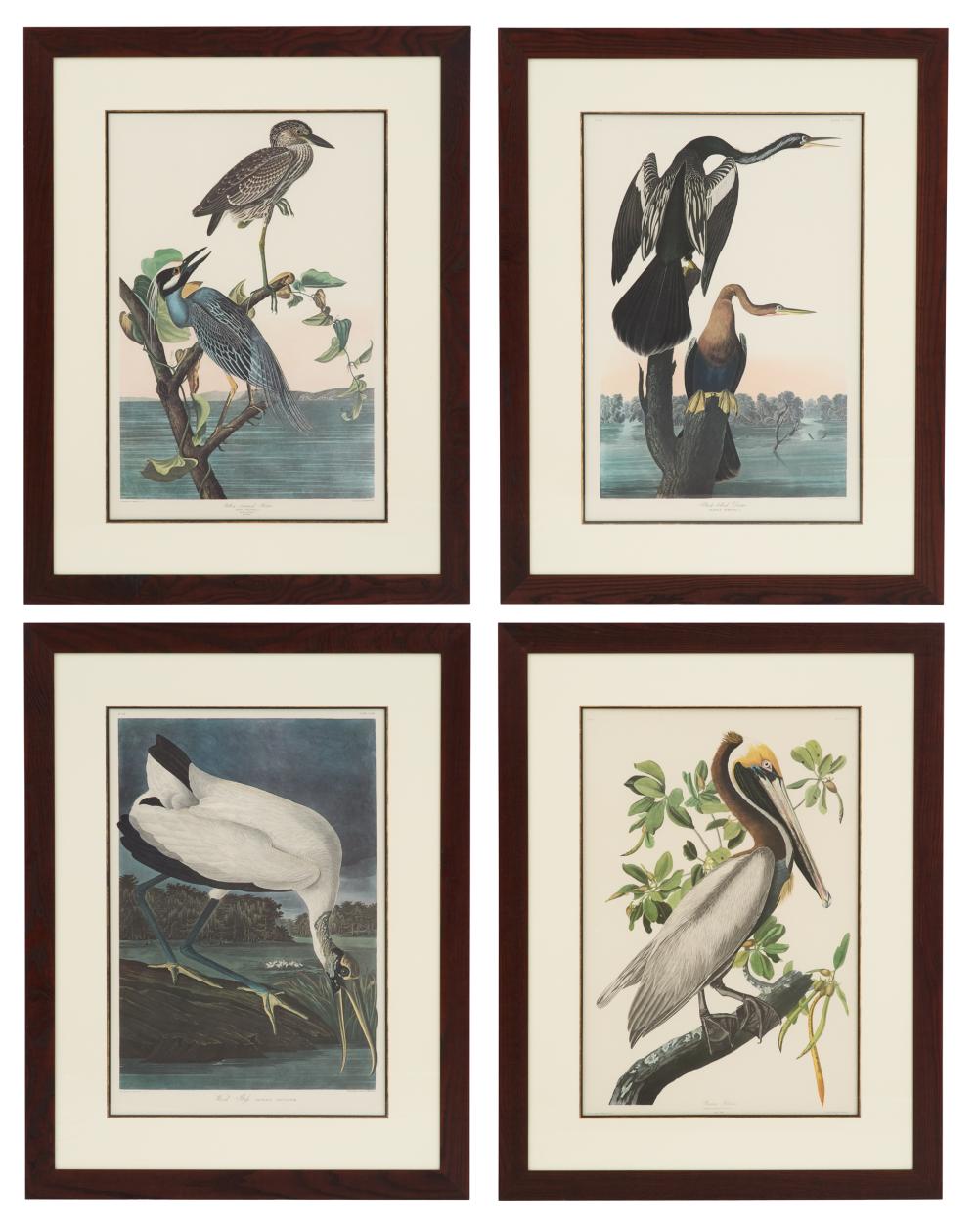 After John James Audubon (A... image