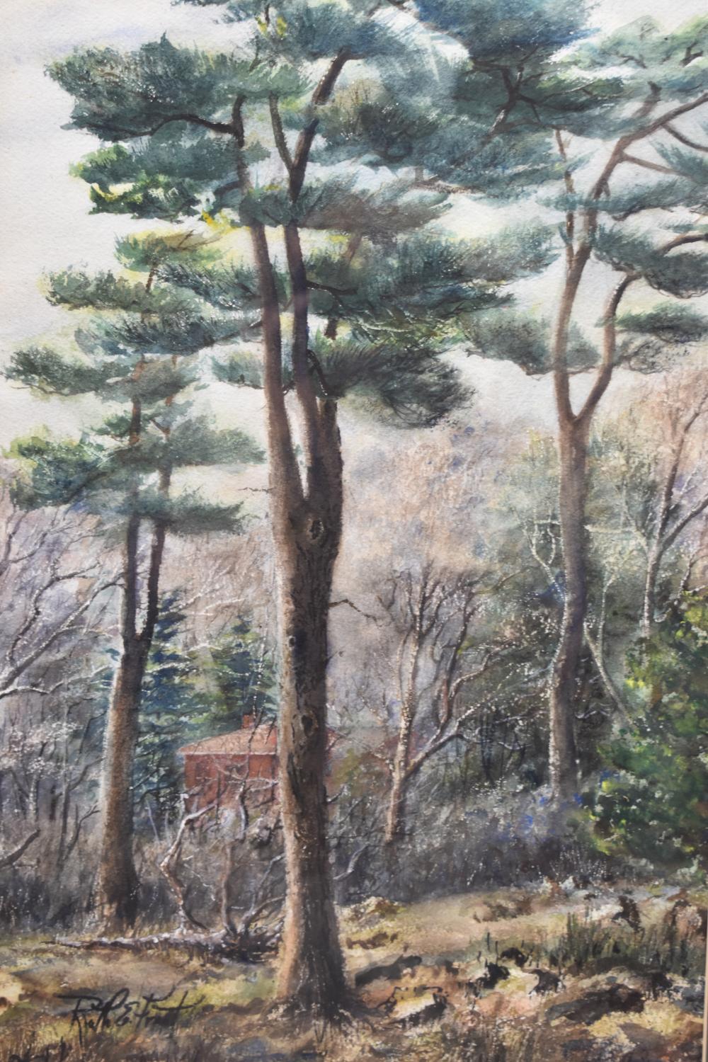 Ruth E. Frost Framed Watercolor of Forest Scene
