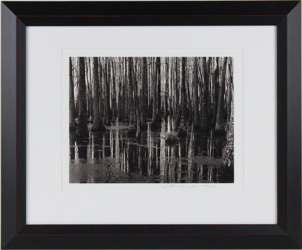 Roman Loranc, Polish 1956-, Savannah River, Black & White Photograph