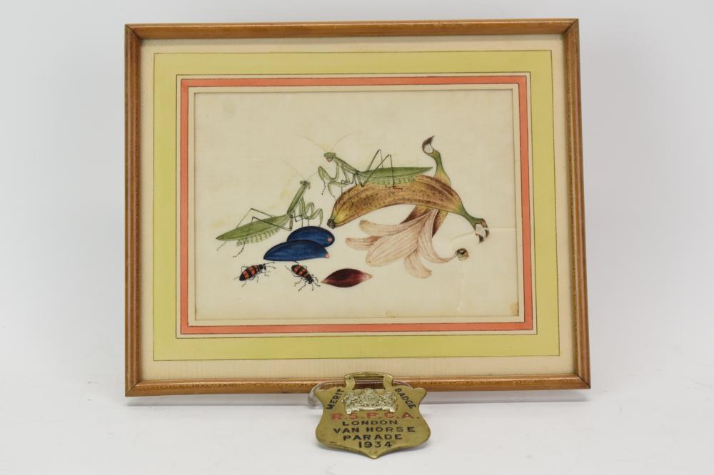 Vintage 1934 R.S.P.C.A. London Van Horse Parade Merit Badge