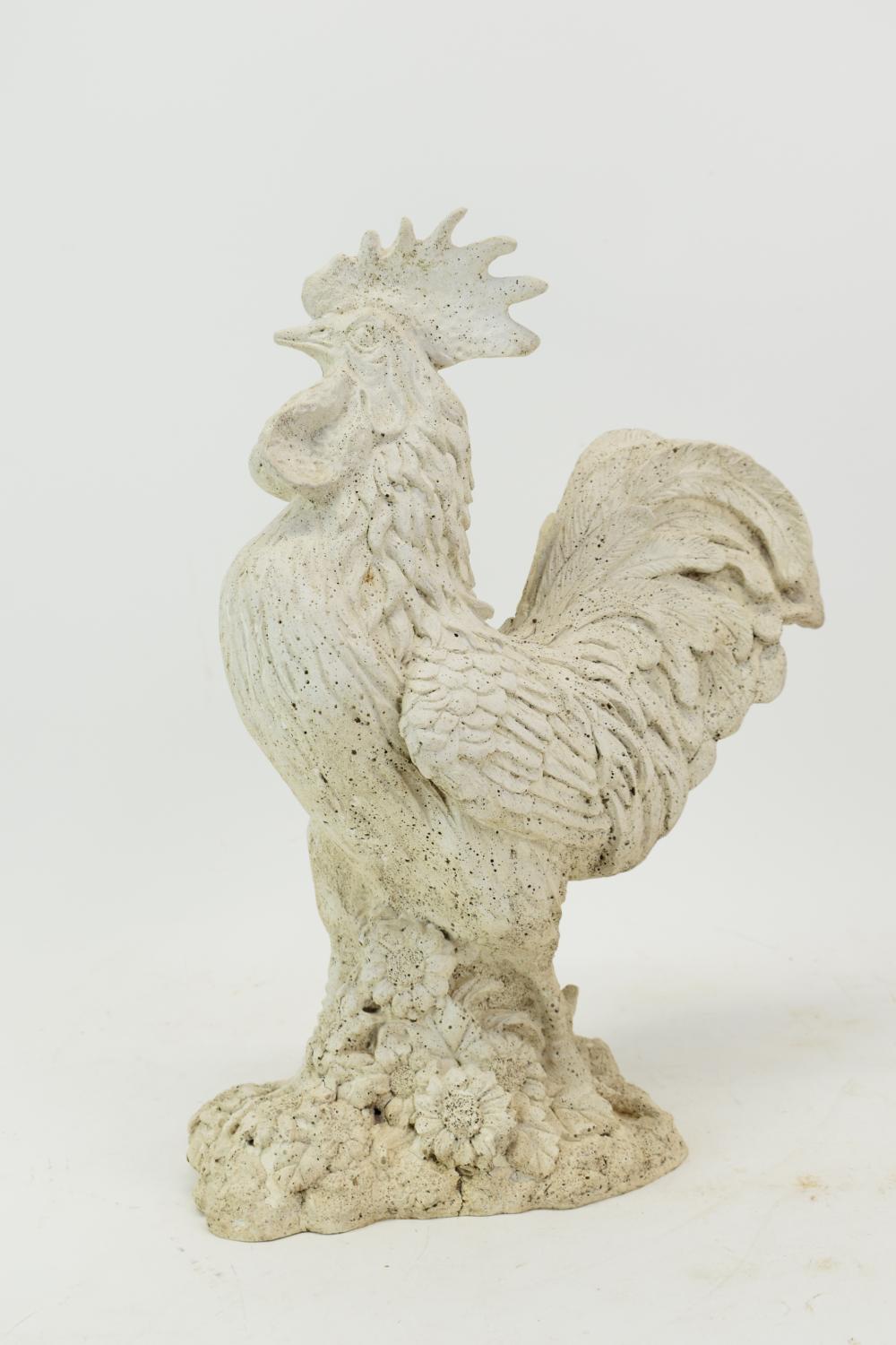 Composition White Rooster