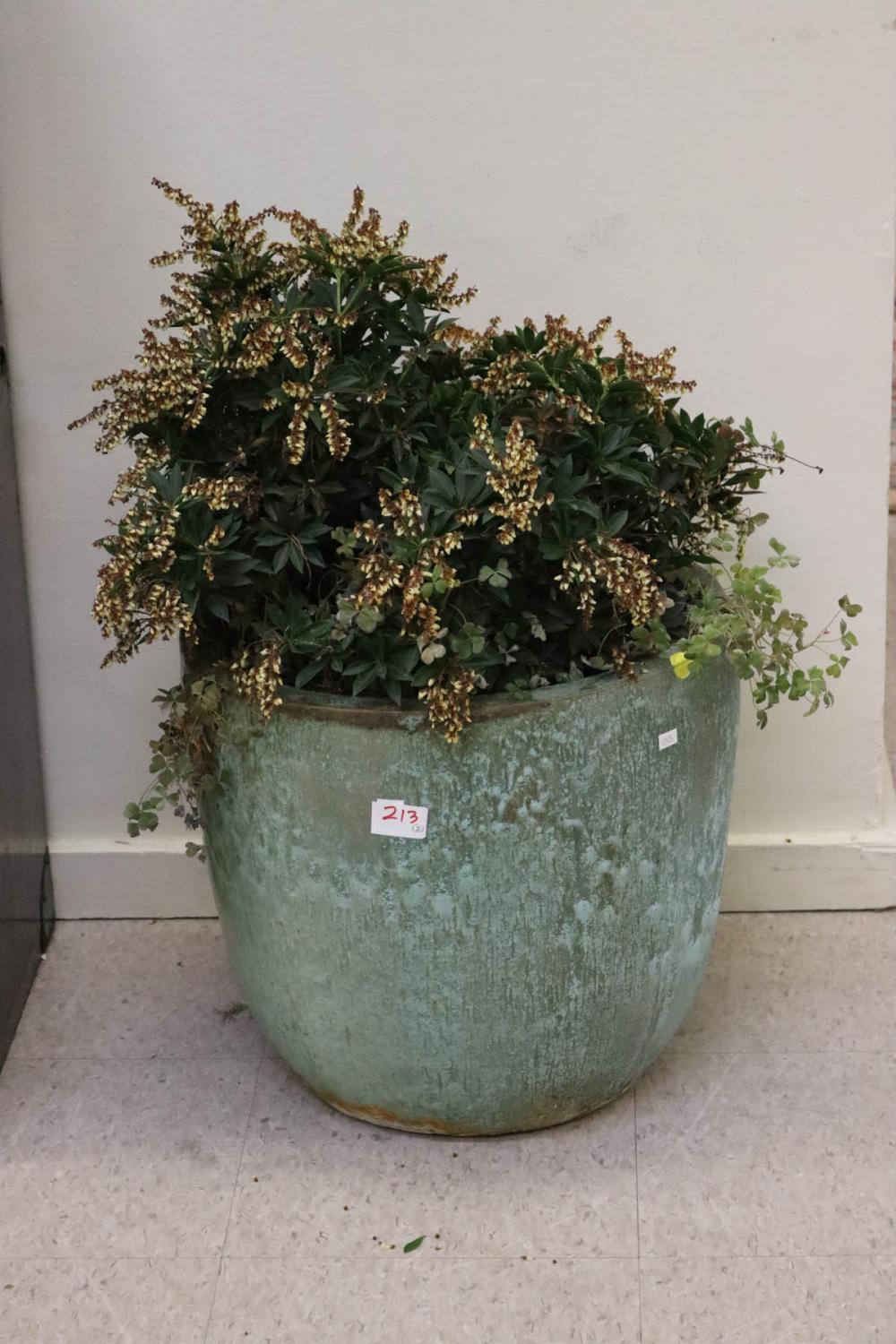 TWO CERAMIC PLANTER WITH POTTED PLANTS