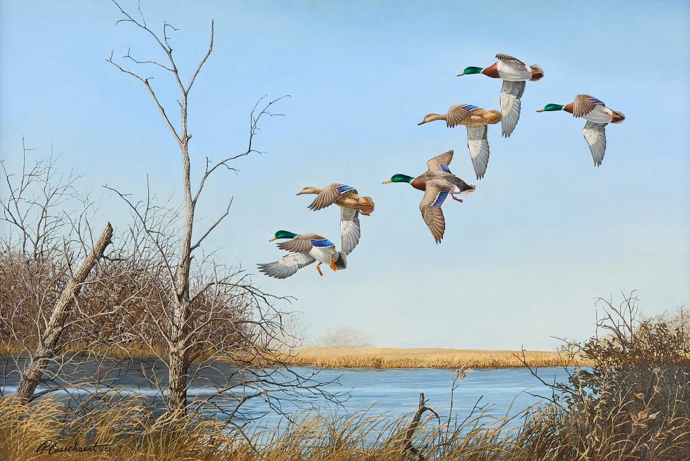 Richard Plasschaert Mallards Painting 1981
