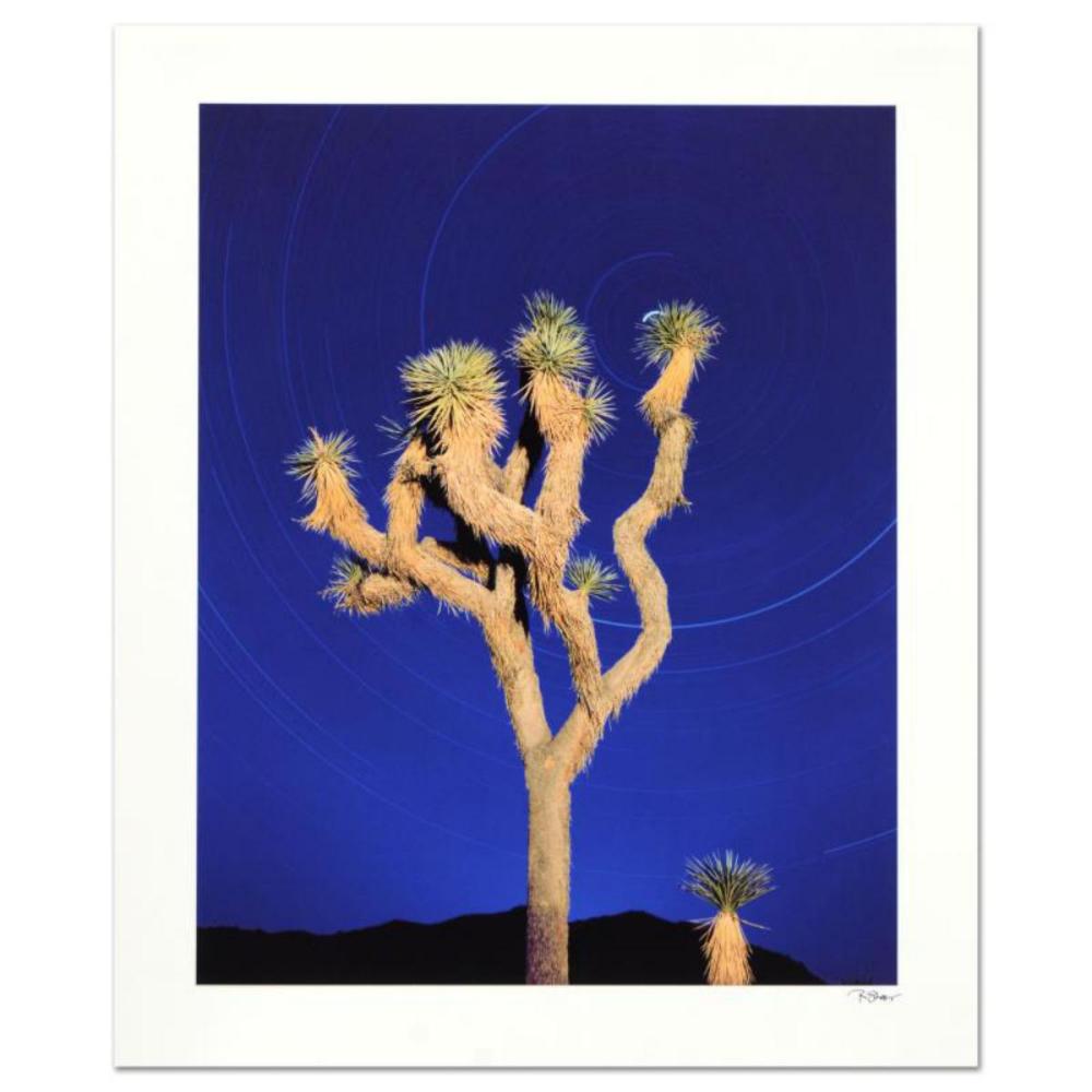 Robert Sheer, "Joshua Tree" Limited Edition Single Exposure Photograph, Numbered and Hand Signed with Certificate of Authenticity.