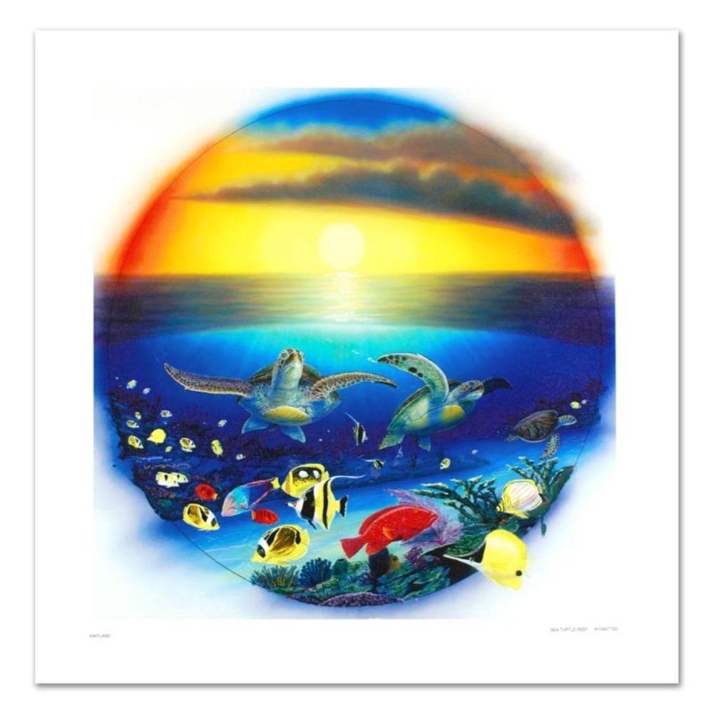 Sea Turtle Reef Limited Edi... image